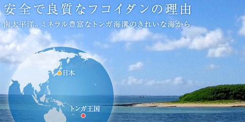 トンガ王国産フコイダン原料の製造 販売 タングルウッド 株 タングルウッド社のトンガ王国産天然モズクのフコイダン 原料は 含有量 硫酸基の結合含量13 以上 化粧品 トイレタリー サプリメントの原料としてメーカー様への卸しや 粉末やドリンク等ご要望に