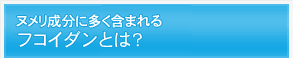 ヌメリ成分に多く含まれるフコイダンとは？